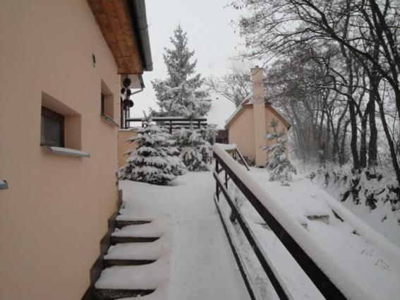 Penzion Nechorka Prušánky Esterno foto